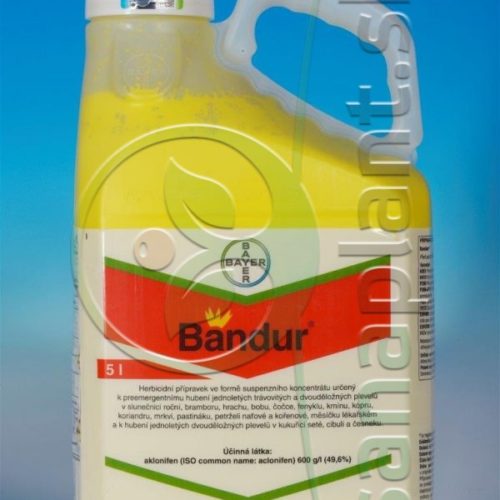 Bandur, 5 l