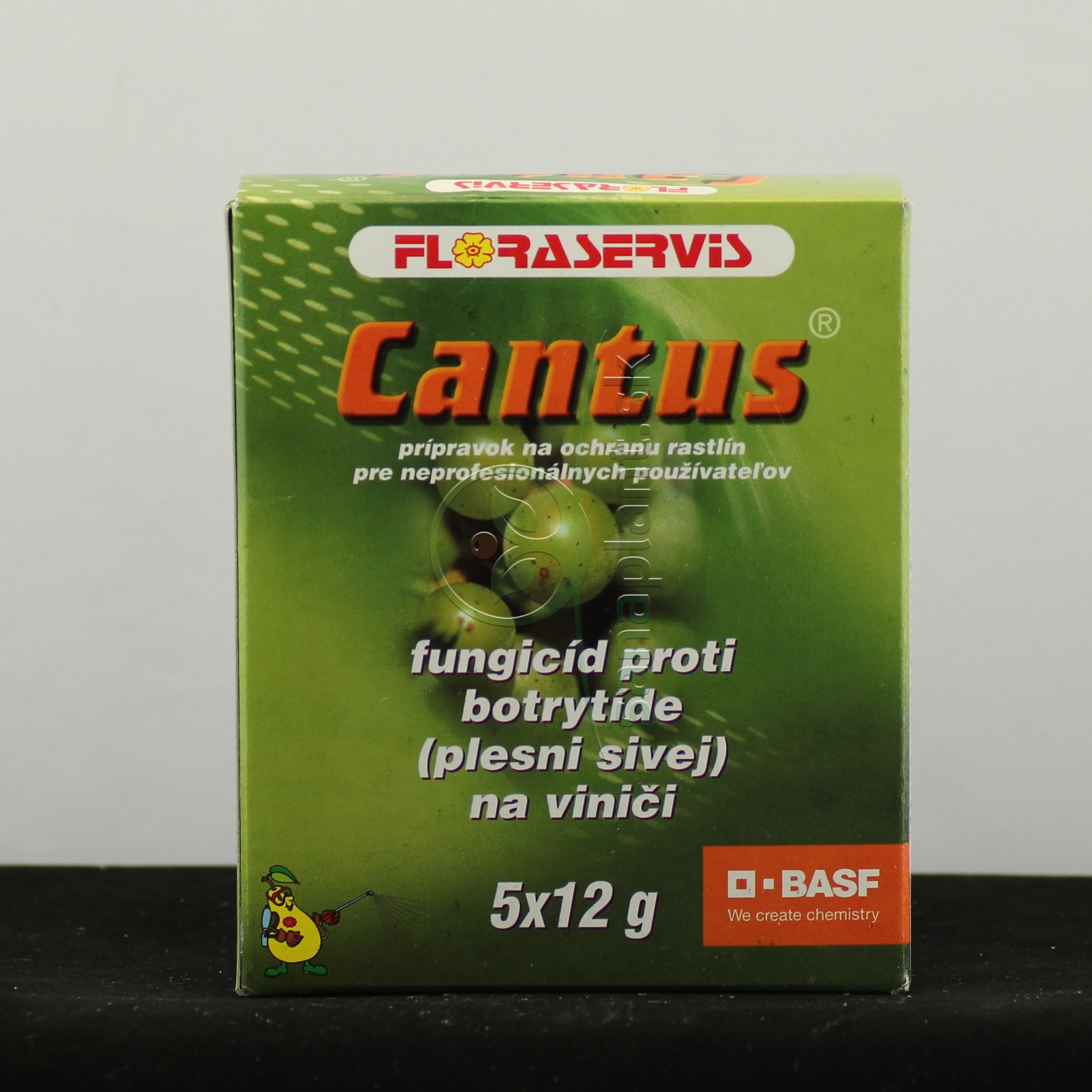 Cantus