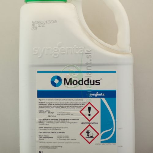 Moddus XL - 60 l, XL 60 l