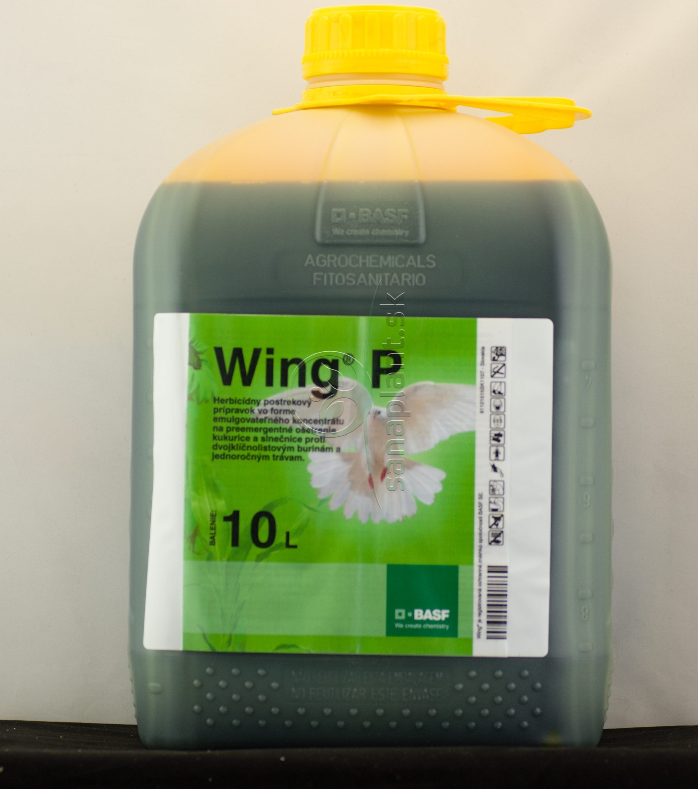 Wing P, 10 l